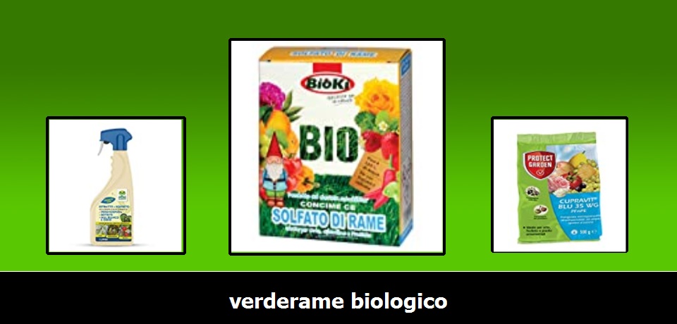 MANICA SOLFATO DI RAME NORMALE SACCO DA 5KG RAMATO VERDERAME 98/99%  CRISTALLI GROSSI - : : Giardino e giardinaggio