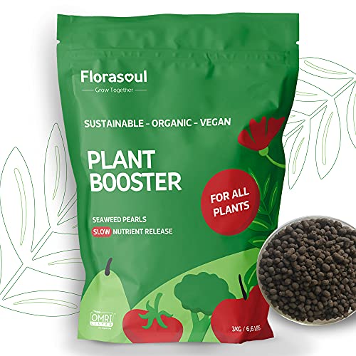 florasoul